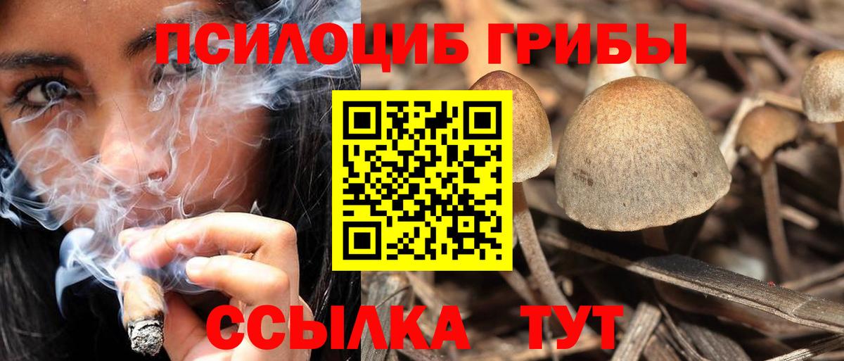 Псилоцибиновые грибы GOLDEN TEACHER Камышин